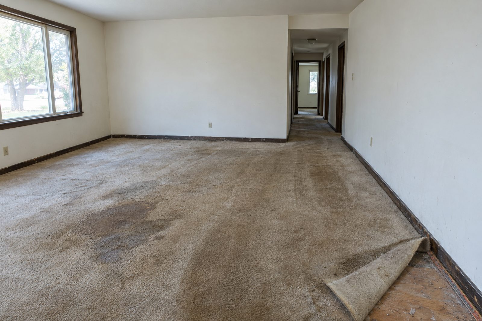 Worn carpet pulled back to expose subfloor before new flooring